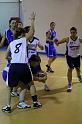 Basket 252068